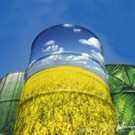  В Карелии построят биоэлектростанцию