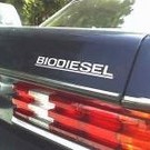  Автомобили будут ездить на целлюлозе?
