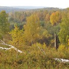  Заказник «Клетнянский»