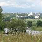  Ліс, як у Швеції, вирощують у Звенигородському лісгоспі