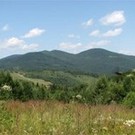  Закарпаття бере участь у масштабному проекті Євросоюзу вартістю 2,3 млн. євро