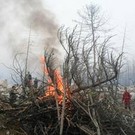  С Миру по нитке - и заповедник станет чище