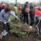  На Алтае заложили памятные леса в честь 65-летия Победы