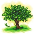  Берегите лес. Его скоро продадут