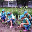  Зеленые насаждения Архангельска – в руках у молодежного лесничества