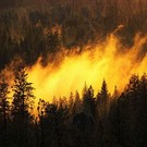  В Иркутской области полыхают леса