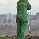  У «Київзеленбуді» пропало дерев на 27 млн. грн