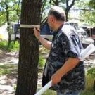  Информация о конфликте вокруг дубовой рощи в Херсоне