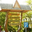  Лісівники Закарпаття підсумували результати роботи за піврічча