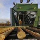  Министр экономики вспомнил про кругляк