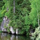  По законам леса