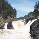  Рослесхоз объявил очередные конкурсы на выполнение НИР для лесного хозяйства