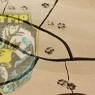  Госэкоинспекцией Украины приостановлено использование охотничьего фонда Львовской ОО УТМР