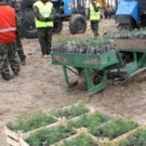  Херсонские лесхозы практически восстановили лесные культуры после пожаров 2007 года