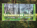  Беларусь. В Белыничском лесхозе запущено производство древесного угля