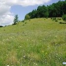  На Черкащине увеличивается количество объектов естественно-заповедного фонда