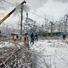  Минэнерго собирается вырубить 8 тысяч га леса в Подмосковье