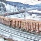  В Ленинградской области увеличилась отгрузка лесных грузов