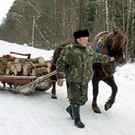  Природа наломала дров