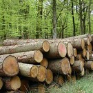  Лесники Украины подсчитали итоги работы за 2010 год