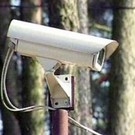  В Беларуси создадут единую дистанционную систему слежения за состоянием лесов
