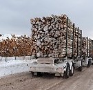  В понедельник лесовозы заблокируют дороги Эстонии