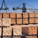  Лишь 20 % российской древесины идет в глубокую переработку