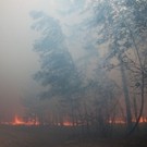  Красноярскому краю помогают десантники шести регионов